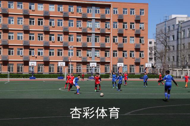 杏彩体育公司环境